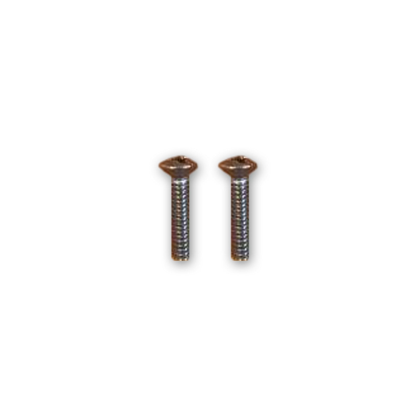 FANATIC Screw Set for Paddle Grip 2023