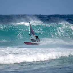TABOU Da Curve TT PRO 2025 - Windsurf Boards | Surf-store.com