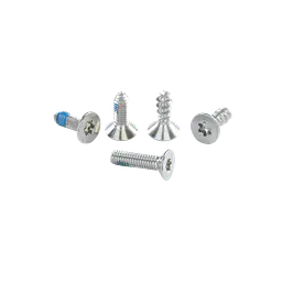 ION Harn Sp Screws Spectre-Bar TX20 (5pcs) (SS21 onwards) Color: C99:random, Size: M4x13mm