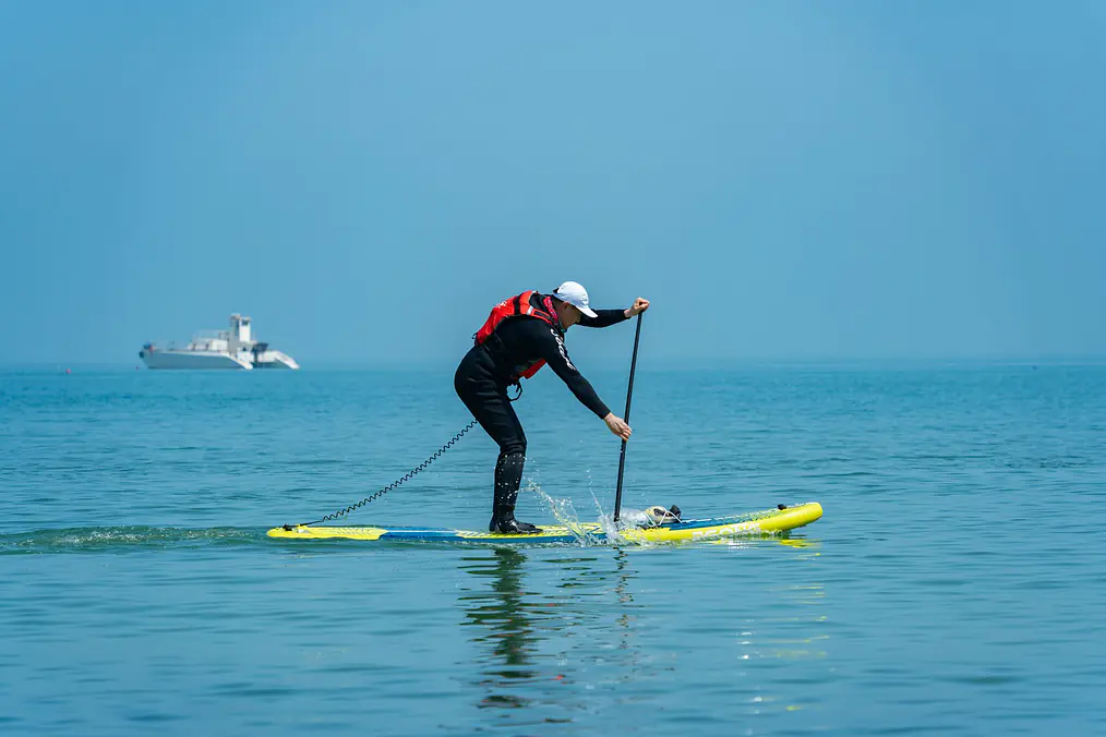 How to Choose a SUP Paddle 2026 — Length & Material Guide