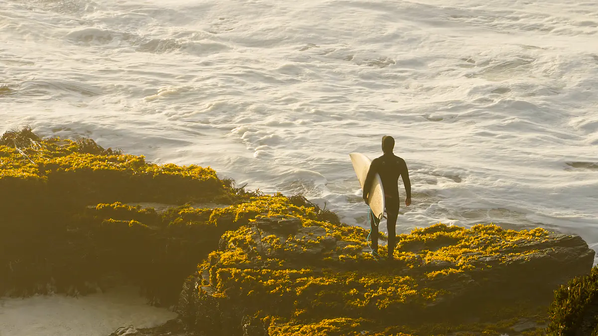 ION Element 4/3 Wetsuit 2026 — Review & Sizing Guide